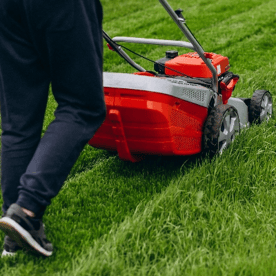 Approach to Grass